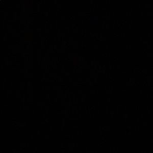 Meet your Posher, Ivy